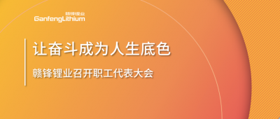 星空體育召開職工代表大會 堅持向奮斗者傾斜更多資源